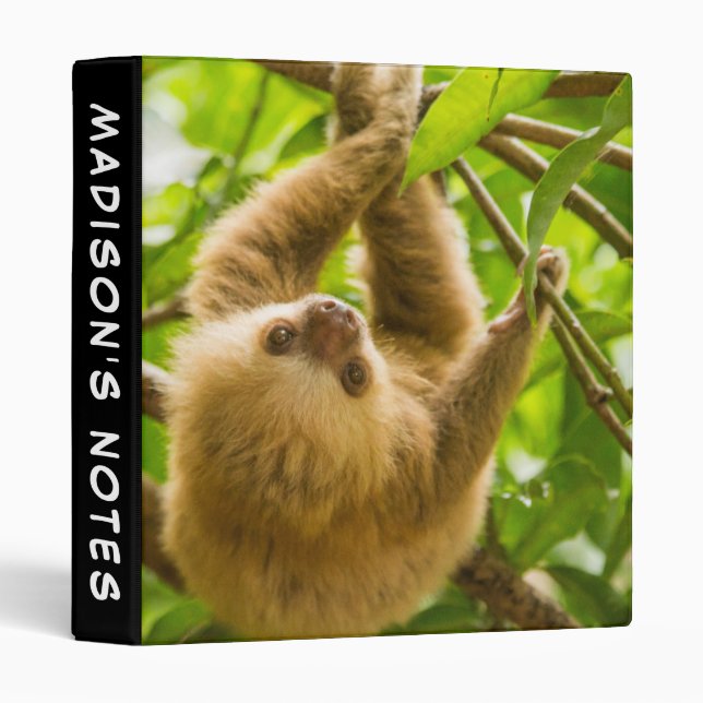 Getty Images | Upside Down Sloth 3 Ring Binder (Front/Spine)