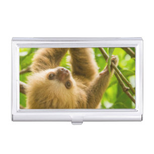 Getty Images Upside Down Sloth Business Card Holder