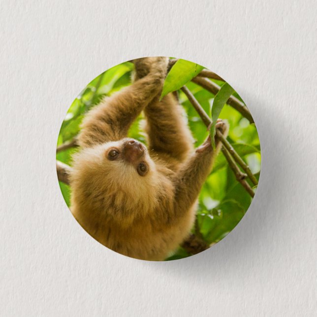 Getty Images | Upside Down Sloth Button (Front)