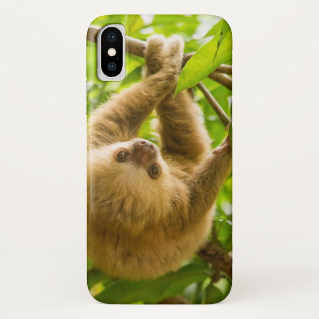 Getty Images | Upside Down Sloth Case-Mate iPhone Case (Back)