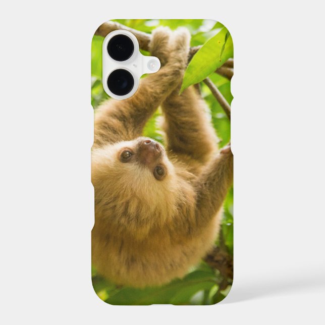 Getty Images | Upside Down Sloth Iphone Case (Back)