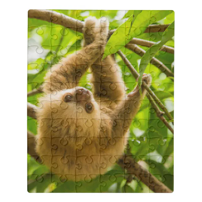 Getty Images Upside Down Sloth Jigsaw Puzzle Zazzle