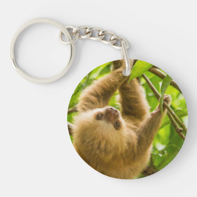 Getty Images | Upside Down Sloth Keychain (Front)