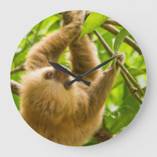 Getty Images Upside Down Sloth Large Clock