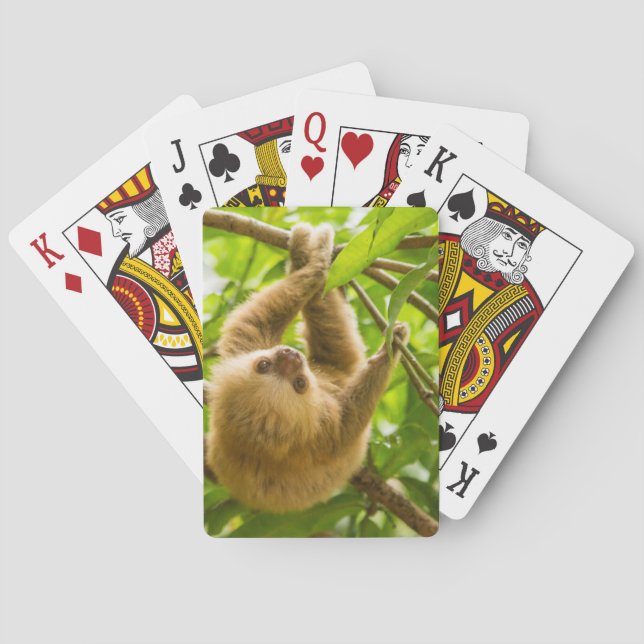 Getty Images | Upside Down Sloth Poker Cards (Back)
