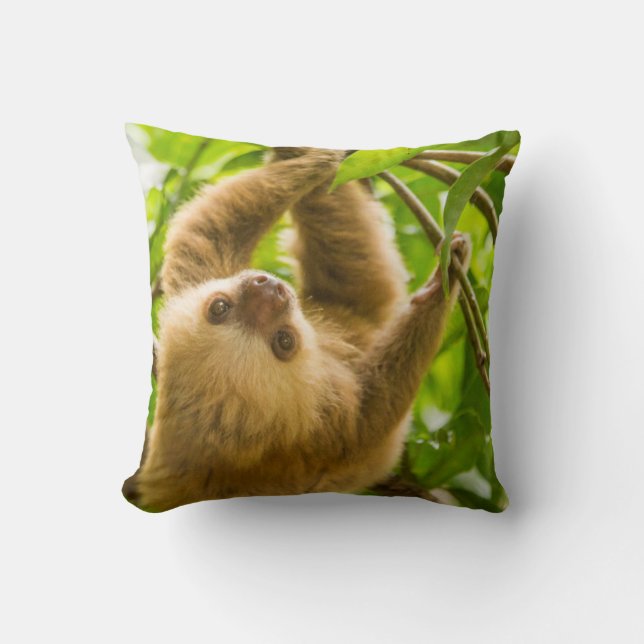 Getty Images | Upside Down Sloth Throw Pillow (Front)