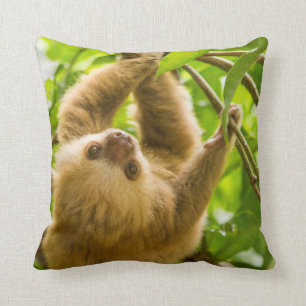 Getty Images Upside Down Sloth Throw Pillow