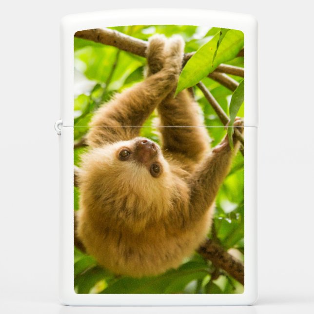Getty Images | Upside Down Sloth Zippo Lighter (Front)