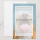 Getty Images | Very Happy Corgi (Front/Back)
