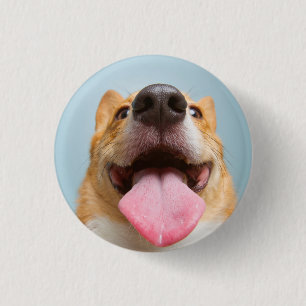 Getty Images Very Happy Corgi Button