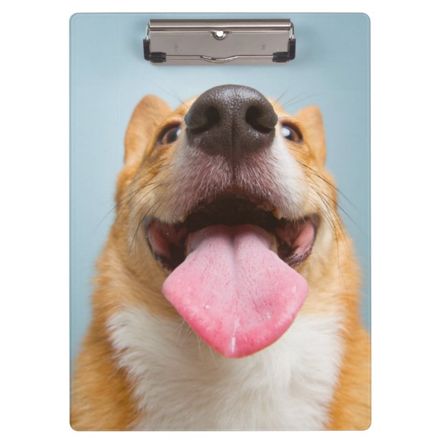 Getty Images | Very Happy Corgi Clipboard (Front)