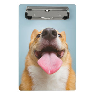 Getty Images   Very Happy Corgi Mini Clipboard