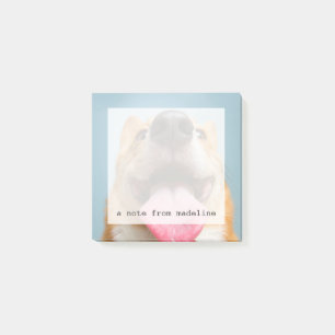 Getty Images   Very Happy Corgi Post-it Notes