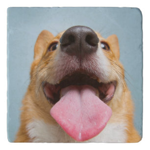 Getty Images   Very Happy Corgi Trivet