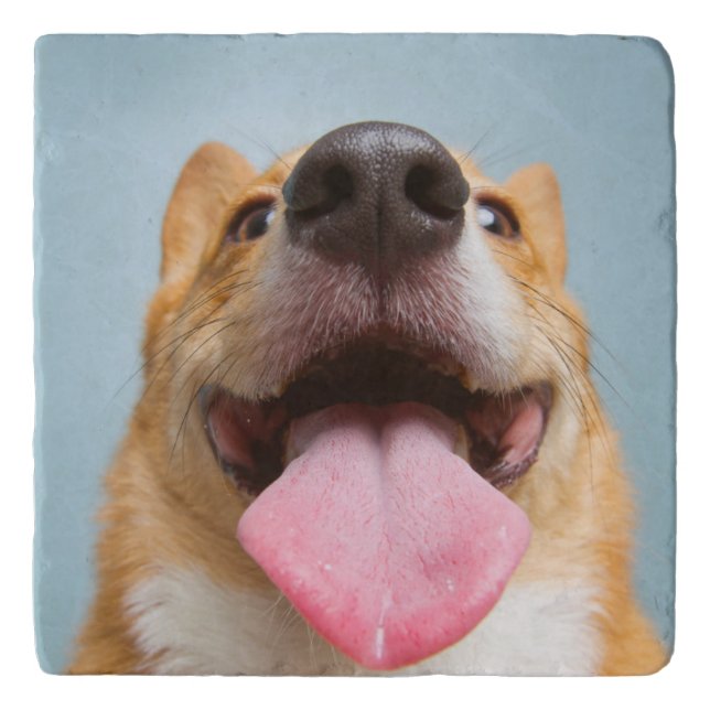 Getty Images | Very Happy Corgi Trivet (Front)