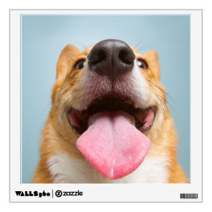 Getty Images   Very Happy Corgi Wall Decal