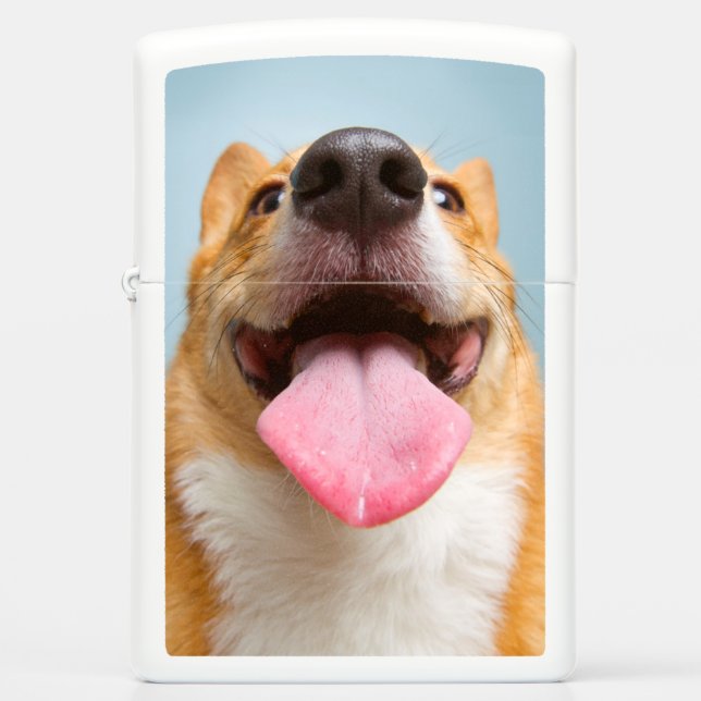 Getty Images | Very Happy Corgi Zippo Lighter (Front)