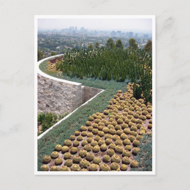 getty museum cacti postcard (Front)