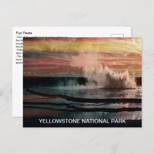 Geyser Fun Facts Yellowstone National Park Postcard