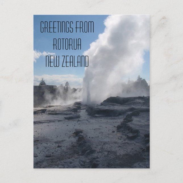 Geyser, Rotorua, New Zealand Postcard (Front)