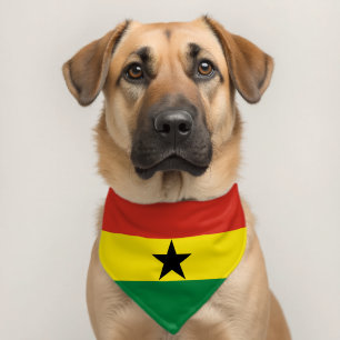 Ghana flag pet bandana collar
