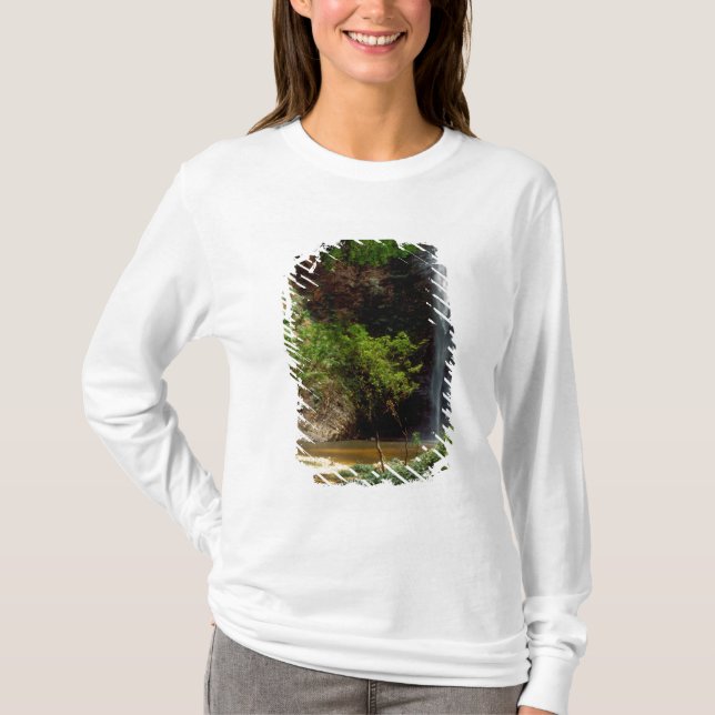 Ghana: Wli Falls, a.k.a. Agumatsa Falls (Volta T-Shirt (Front)