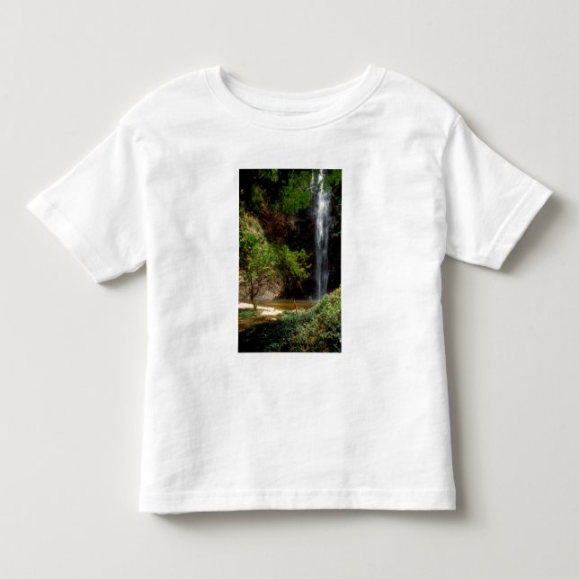 Ghana: Wli Falls, a.k.a. Agumatsa Falls (Volta Toddler T-shirt (Front)
