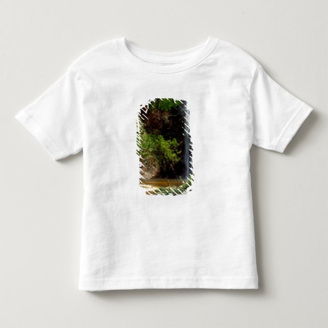 Ghana: Wli Falls, a.k.a. Agumatsa Falls (Volta Toddler T-shirt (Front)