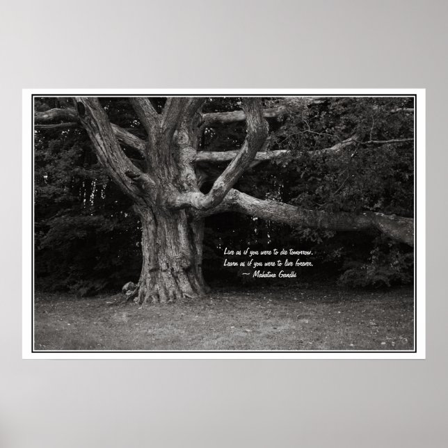 Ghandi Quote Poster, Perley Oak Monochrome Poster (Front)