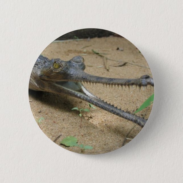 Gharial Button (Front)