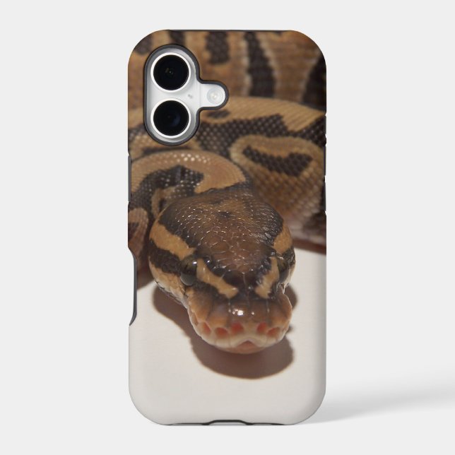 Ghost Ball Python Iphone Case (Back)