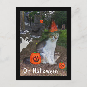 Ghost Cat Postcard