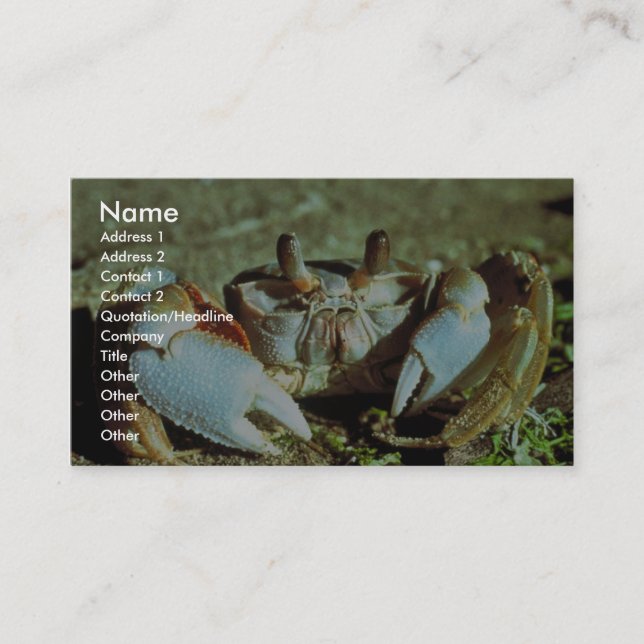 Ghost Crab Business Card (Front)