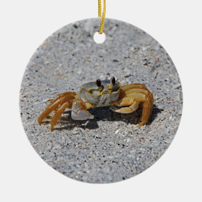 Ghost Crab Ceramic Ornament (Front)