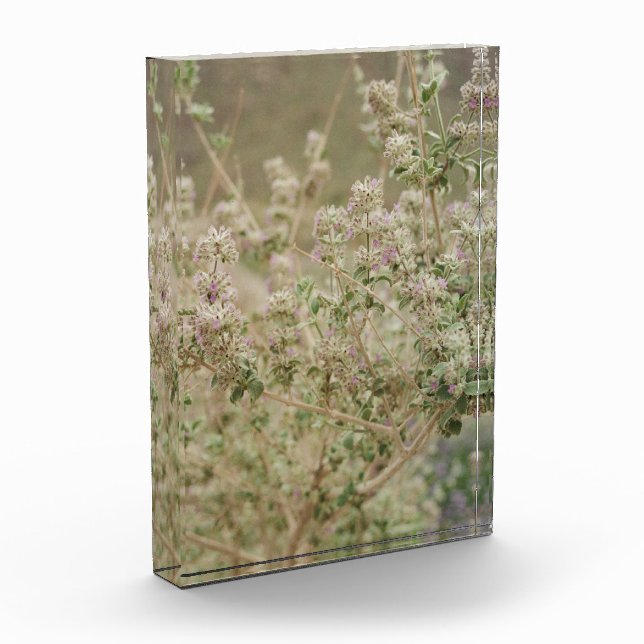 Ghost Flower Photo Block (Left)