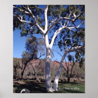 Ghost Gum in Alice Poster