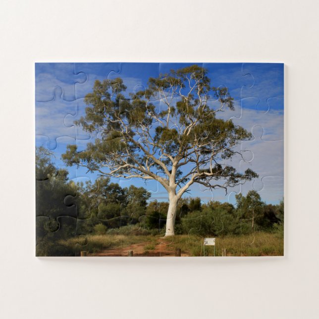 Ghost gum tree, Outback Australia Jigsaw Puzzle (Horizontal)