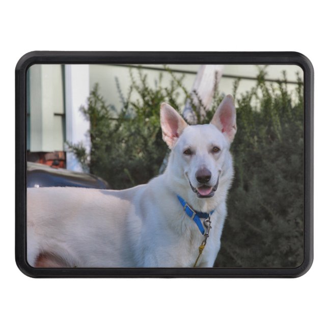 Ghost Hitch Cover (Front)