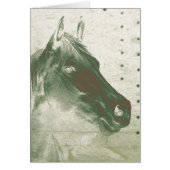 Ghost Horse (Front)