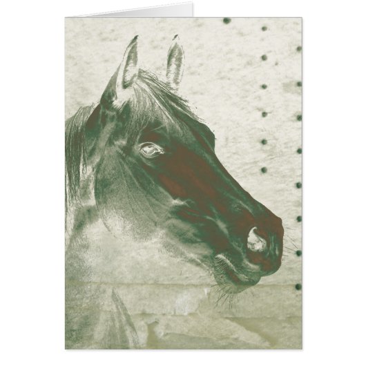 Ghost Horse Cards (Front)