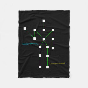 Ghost Hunting Sls Anomaly Detected Funny Paranorma Fleece Blanket