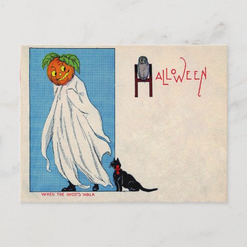 Ghost Jack O Lantern Black cat Owl Spirit Postcard