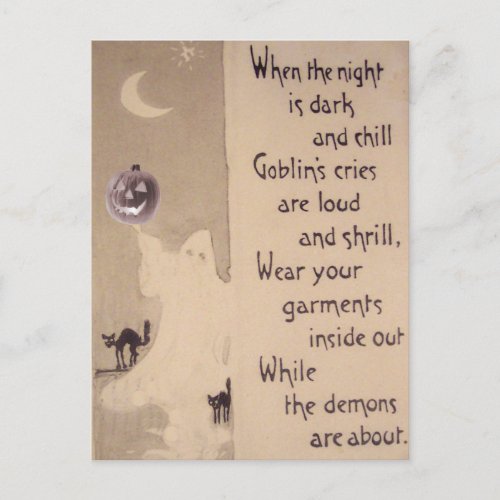 Ghost Jack O Lantern Pumpkin Black Cat Postcard