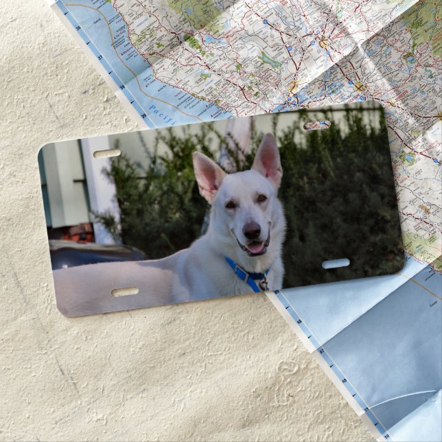 Ghost License Plate (In Situ)