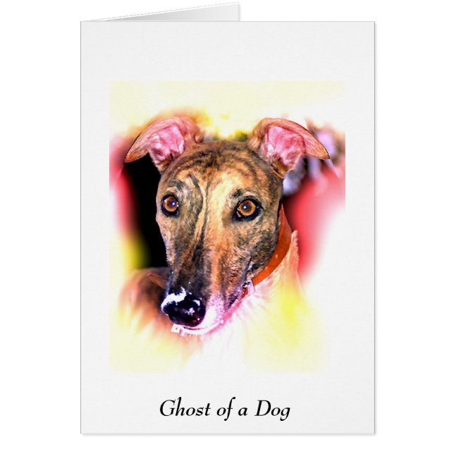 Ghost of a dog cards (Front)