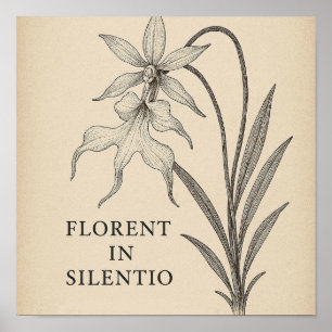 Ghost Orchid Elegance – Botanical Quote Poster