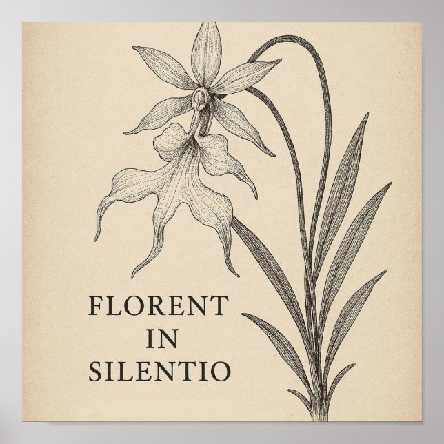 Ghost Orchid Elegance – Botanical Quote Poster (Front)