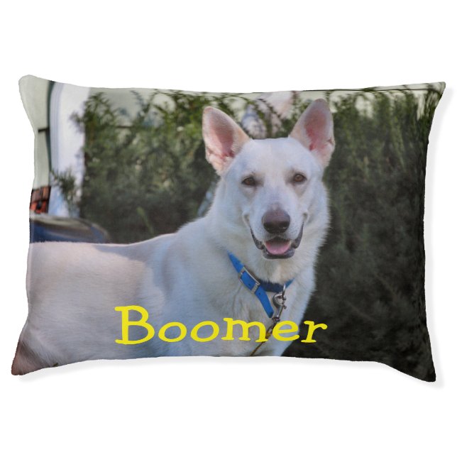 Ghost Pet Bed (Front)