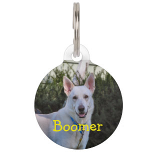 Ghost Pet ID Tag