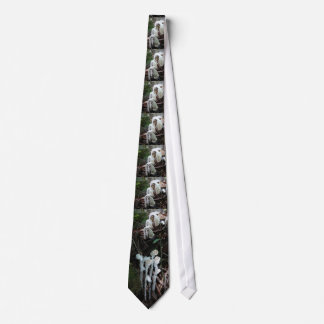 Ghost Plant Tie